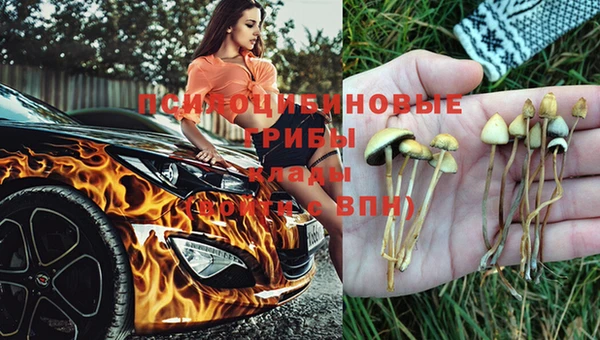 альфа пвп Куйбышев